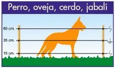 cerca-caes Cerca Elétrica Energizador