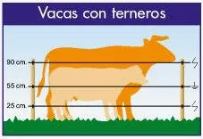 cerca-eletrica-para-vacas Cerca Elétrica Energizador